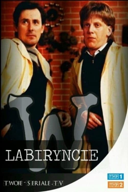 W labiryncie Online • Vider
