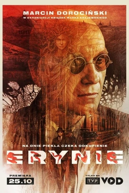 Erynie Online • Vider